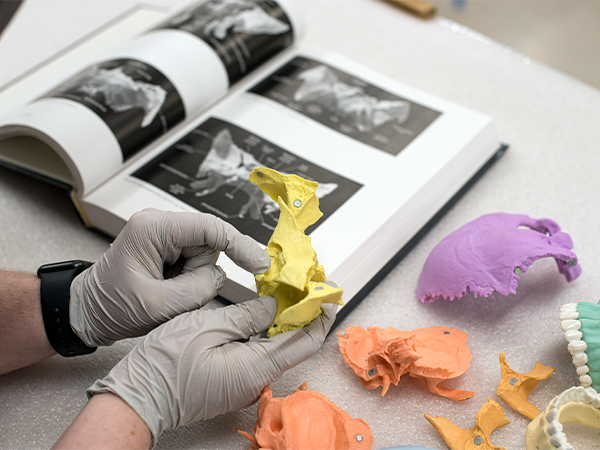 Gloved hands hold a piece of a model skull. A book open to pages of skull anatomy lay open on the desk nearby.